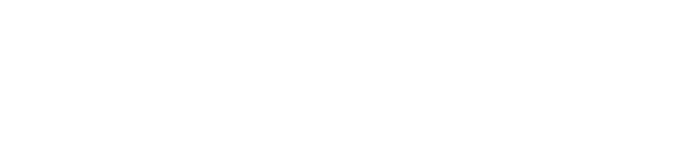 mercury information security services
