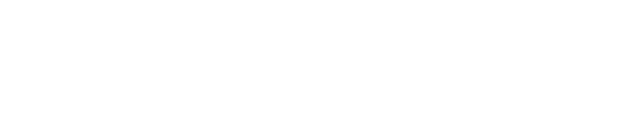 palo alto
