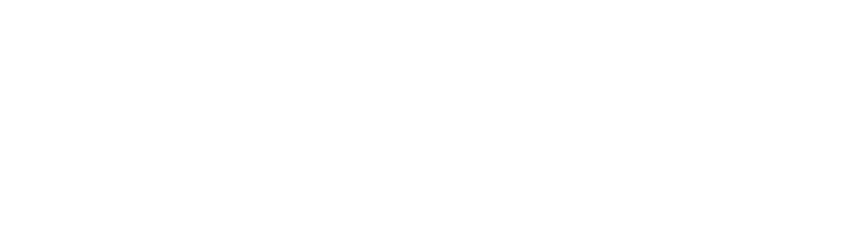 rubrik