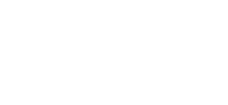 governance institute