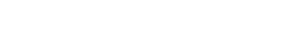 Bizcap wht