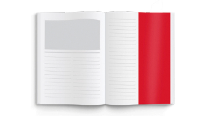 Half page vertical advertisement layout